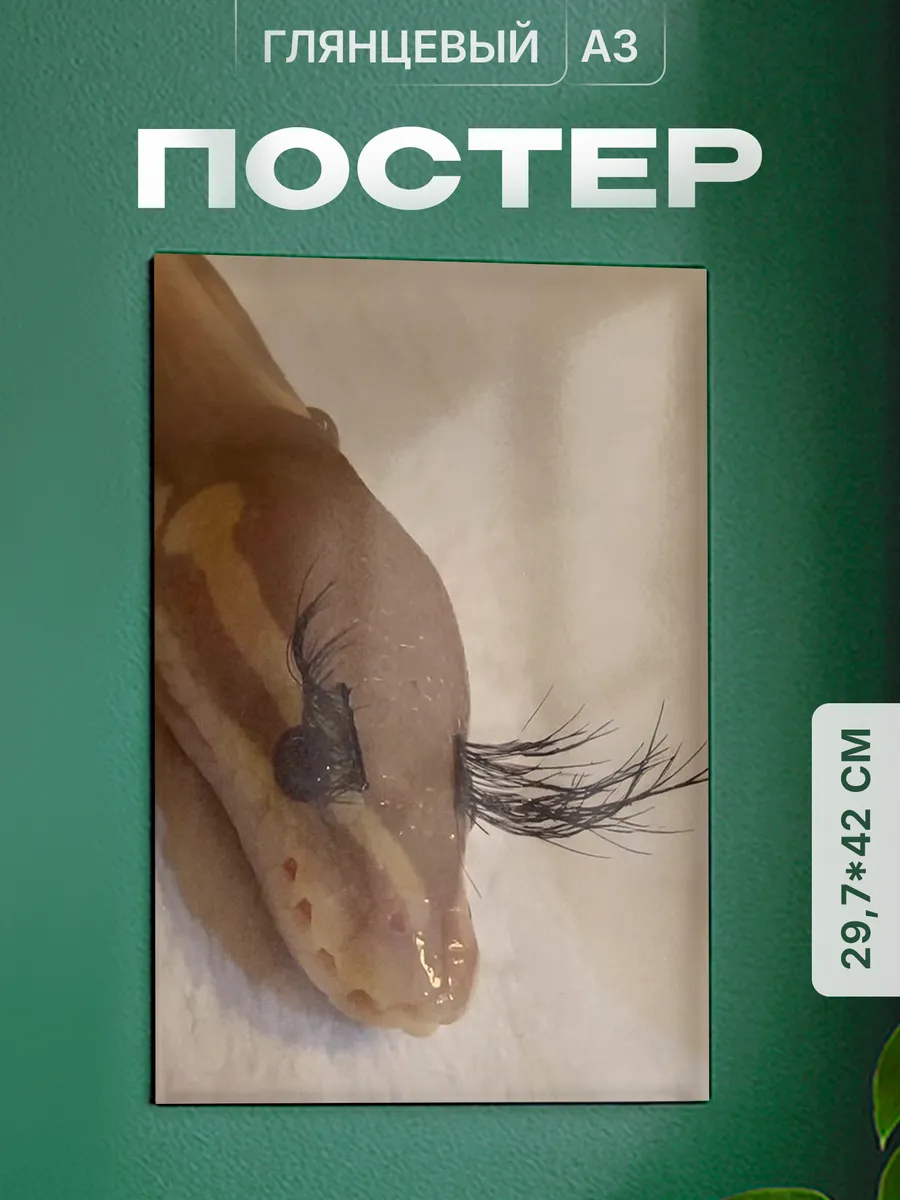 Изображение товара 1 из 4