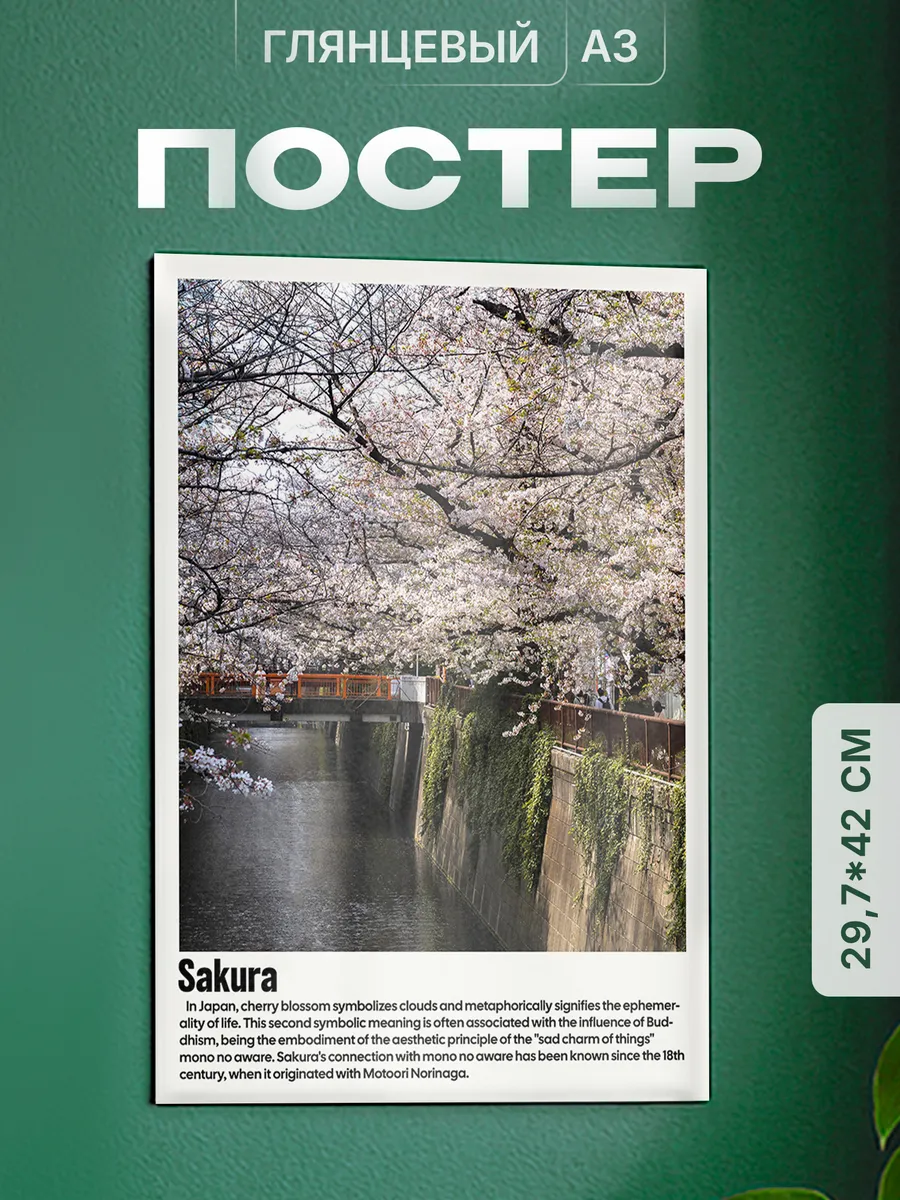 Изображение товара 1 из 4