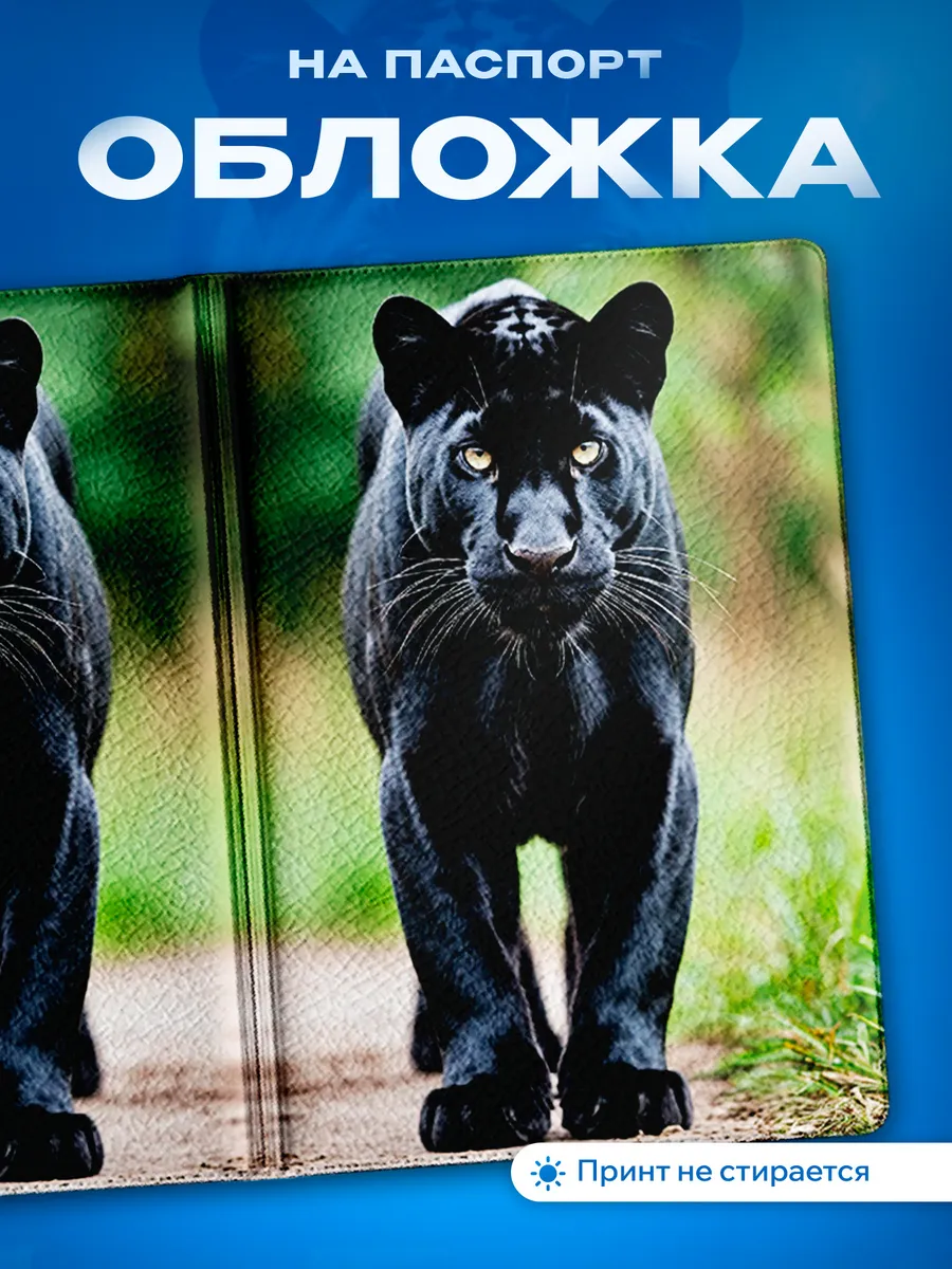 Изображение товара 1 из 5