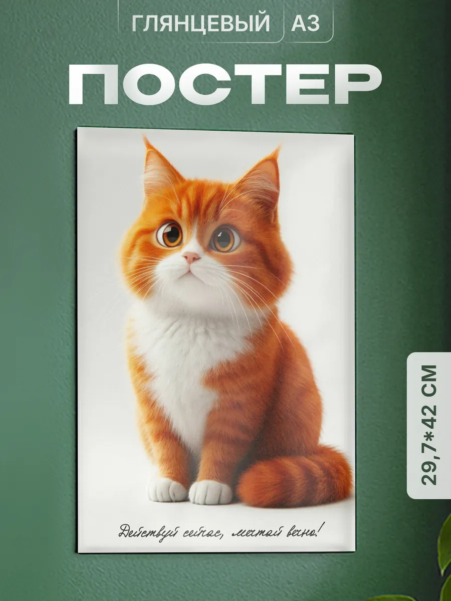 Изображение товара 1 из 4