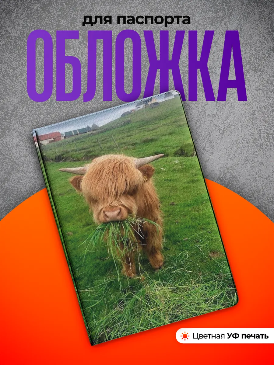 Изображение товара 1 из 4