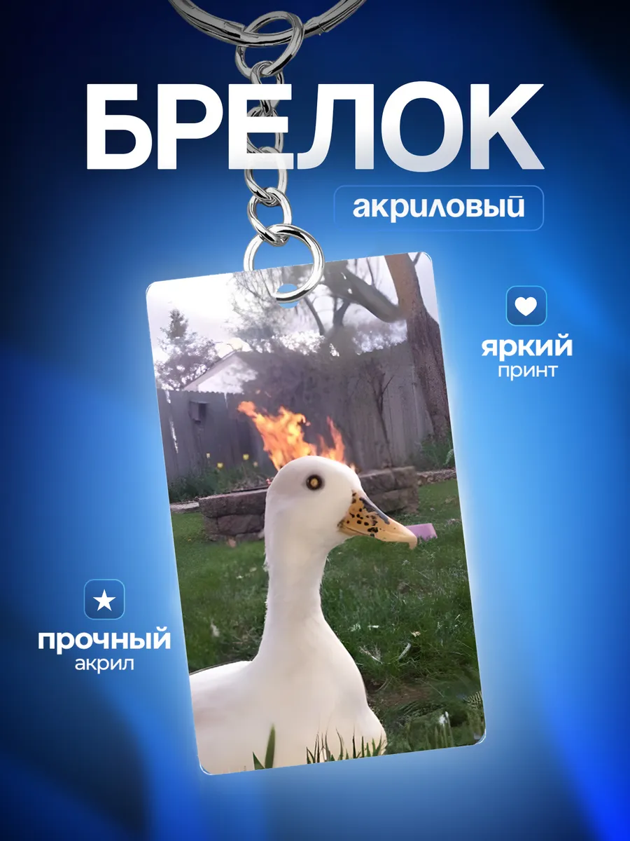 Изображение товара 1 из 4