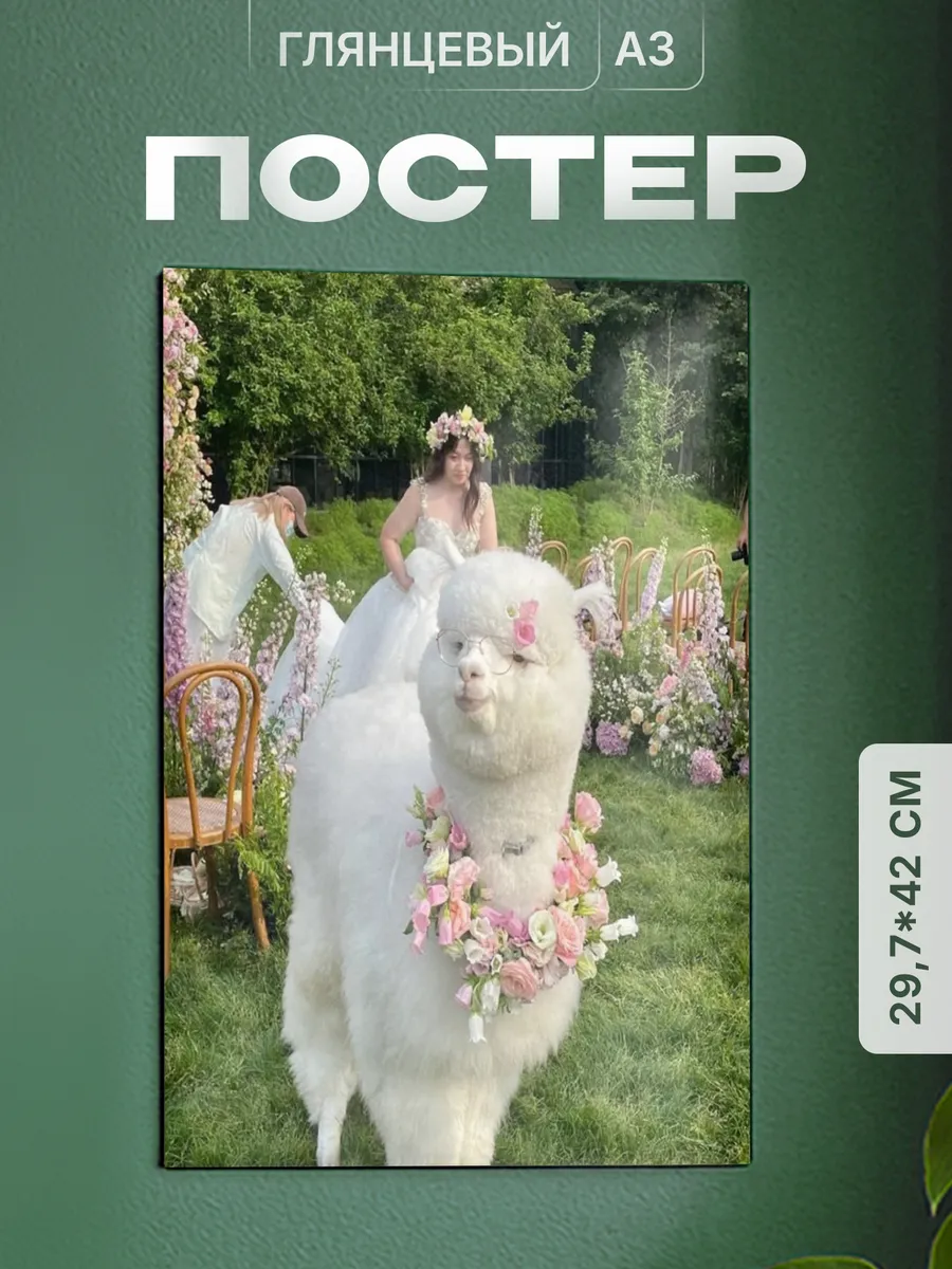 Изображение товара 1 из 4