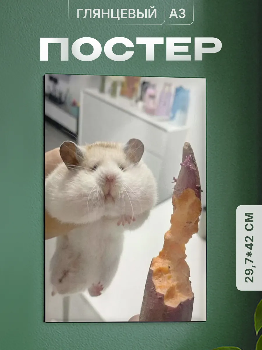 Изображение товара 1 из 4
