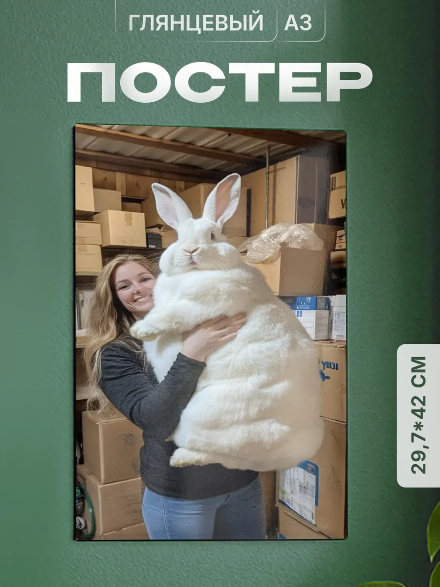 Изображение товара 1 из 4