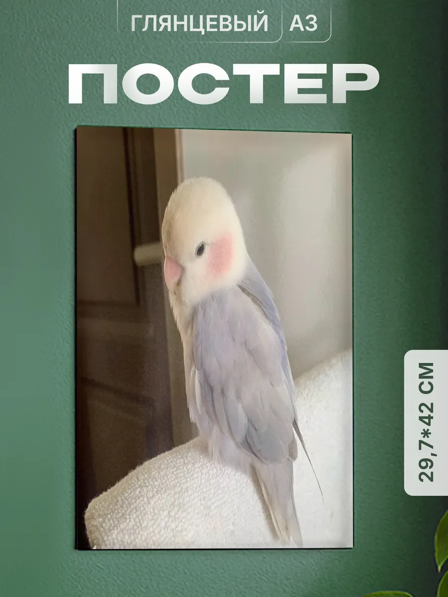 Изображение товара 1 из 4