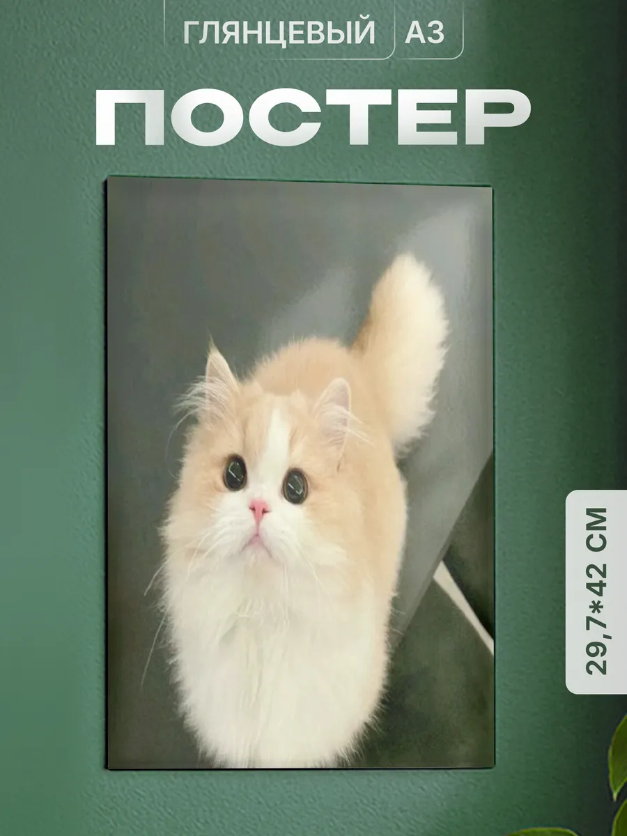 Изображение товара 1 из 4