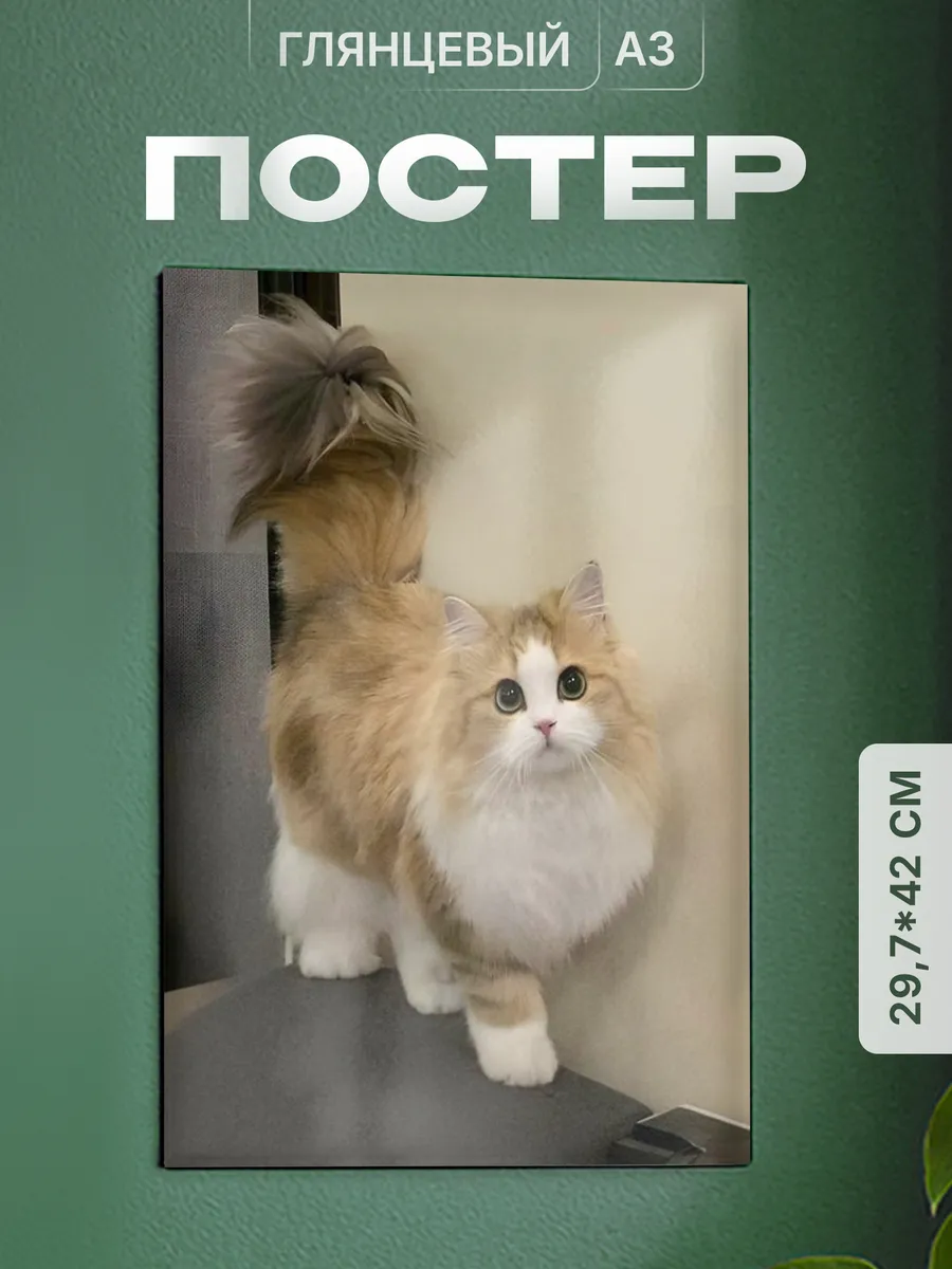 Изображение товара 1 из 4