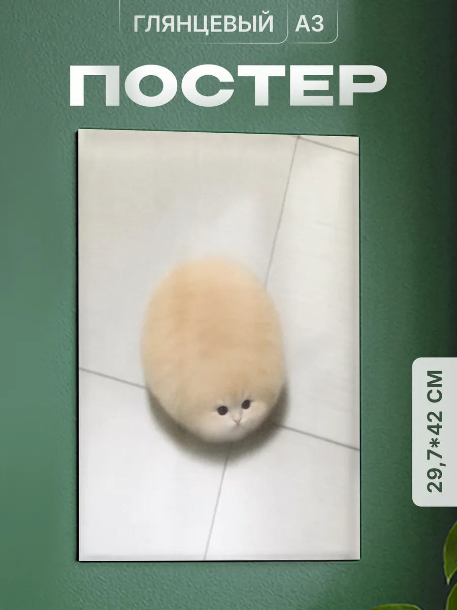 Изображение товара 1 из 4