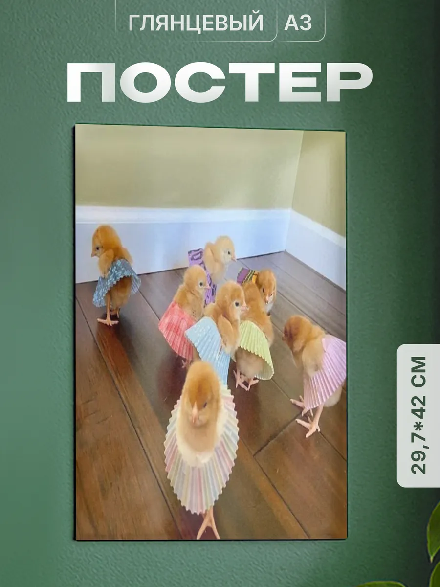 Изображение товара 1 из 4