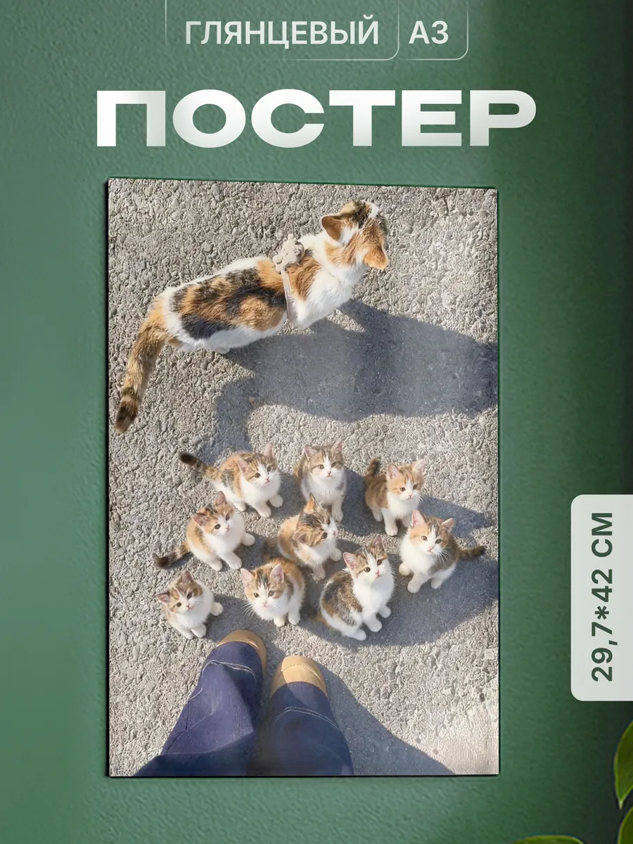 Изображение товара 1 из 4