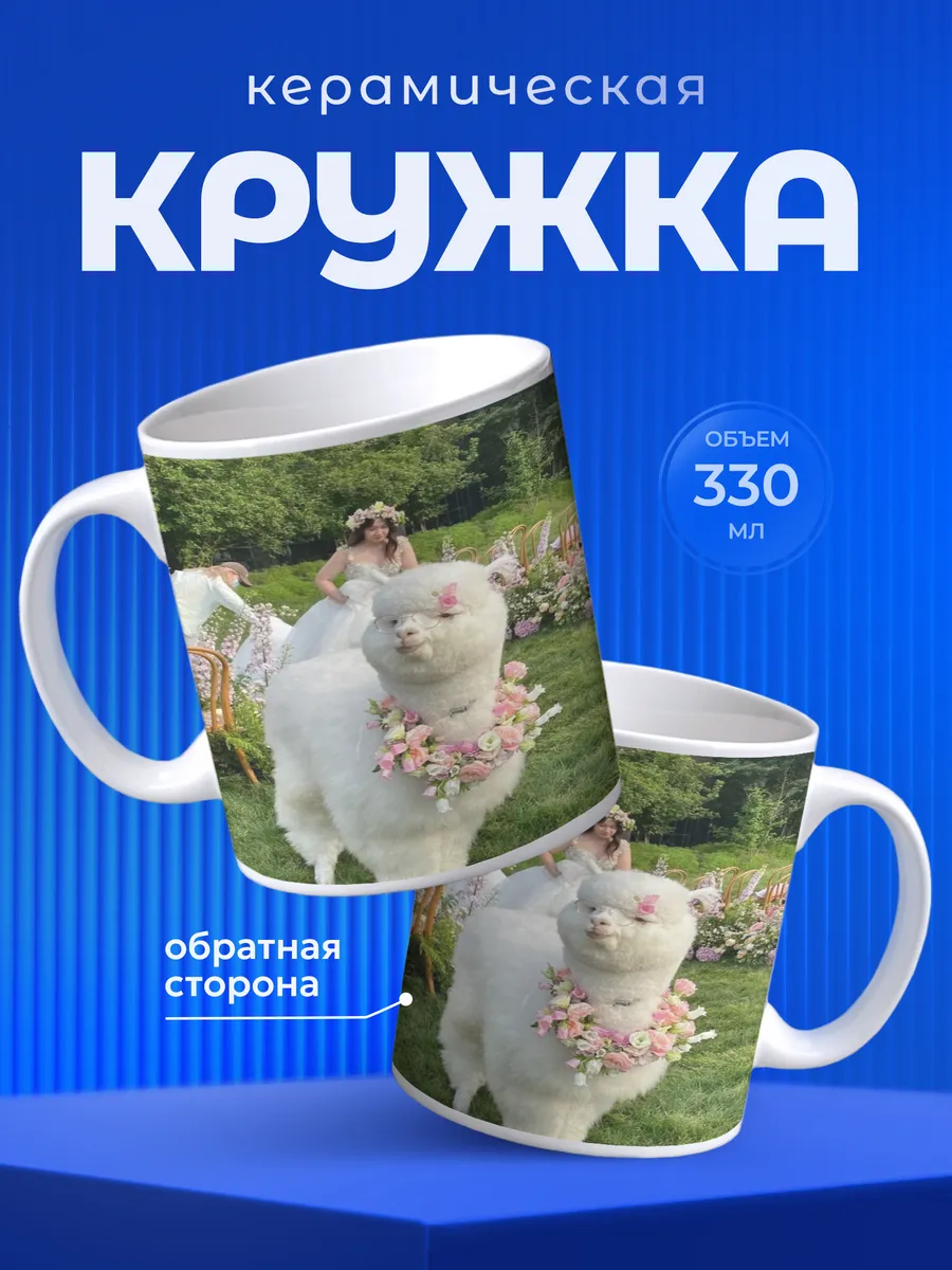 Изображение товара 1 из 6