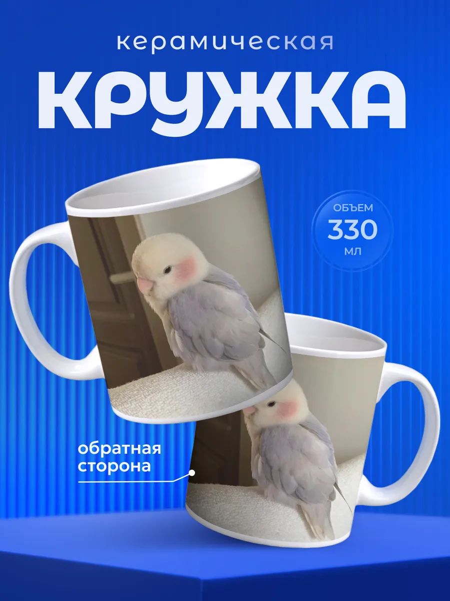 Изображение товара 1 из 6