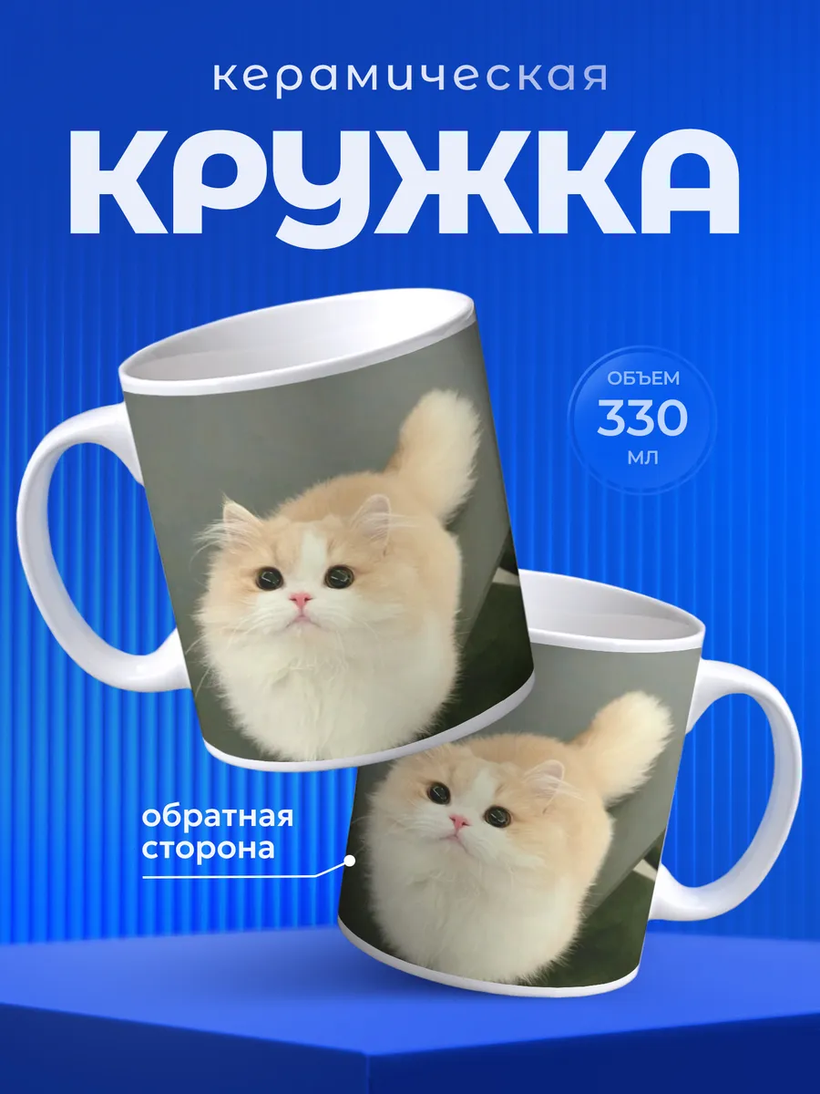 Изображение товара 1 из 6