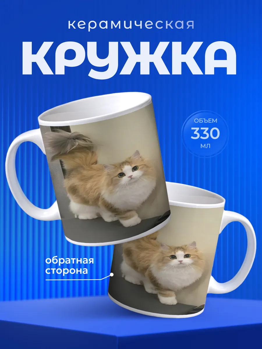 Изображение товара 1 из 6