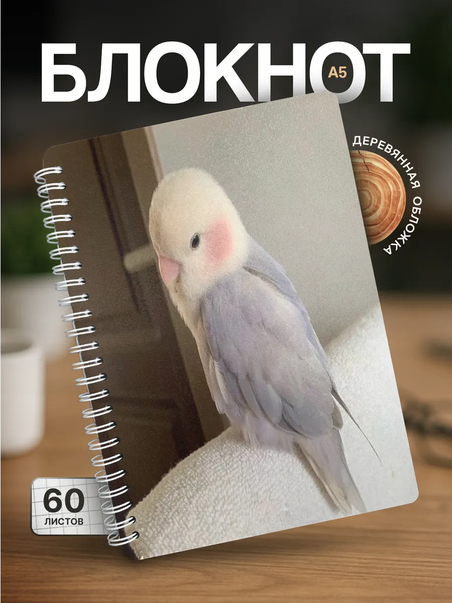 Изображение товара 1 из 4
