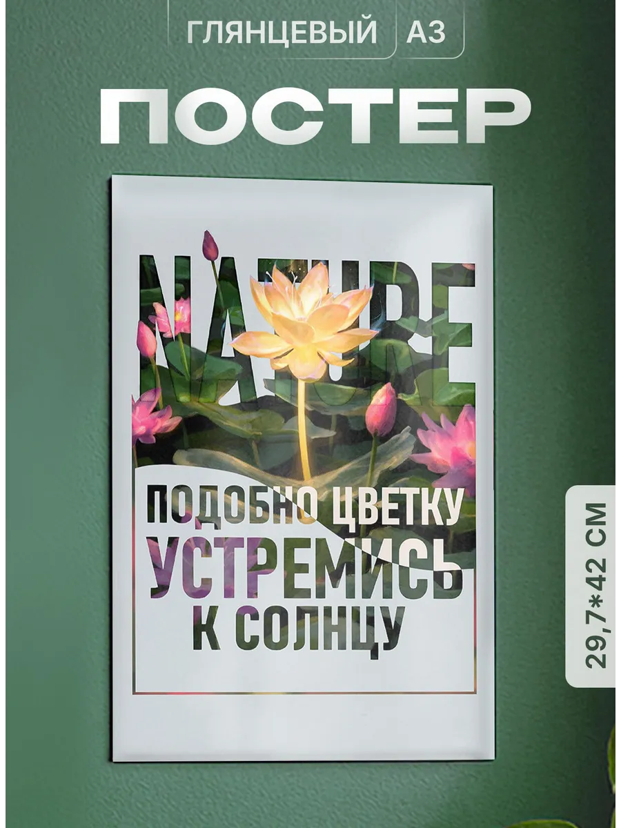 Изображение товара 1 из 4