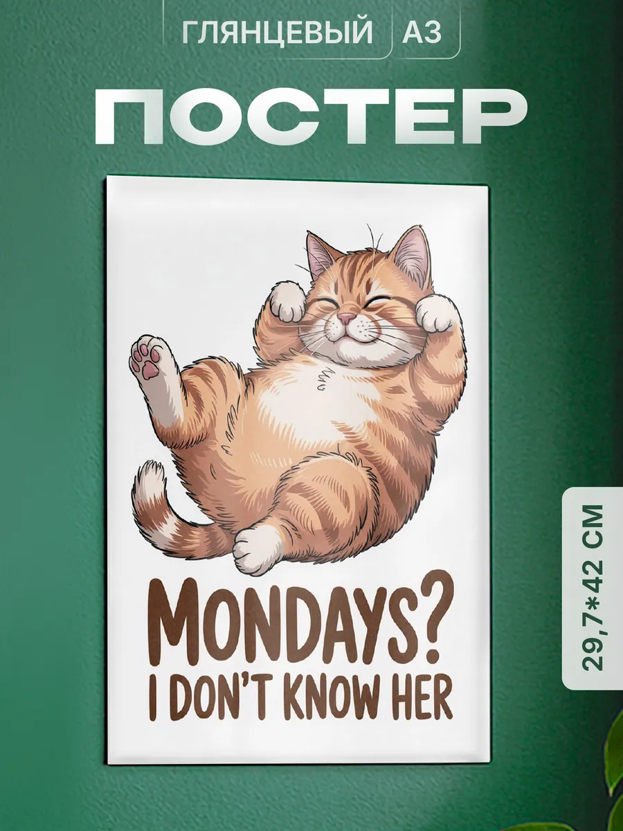 Изображение товара 1 из 4