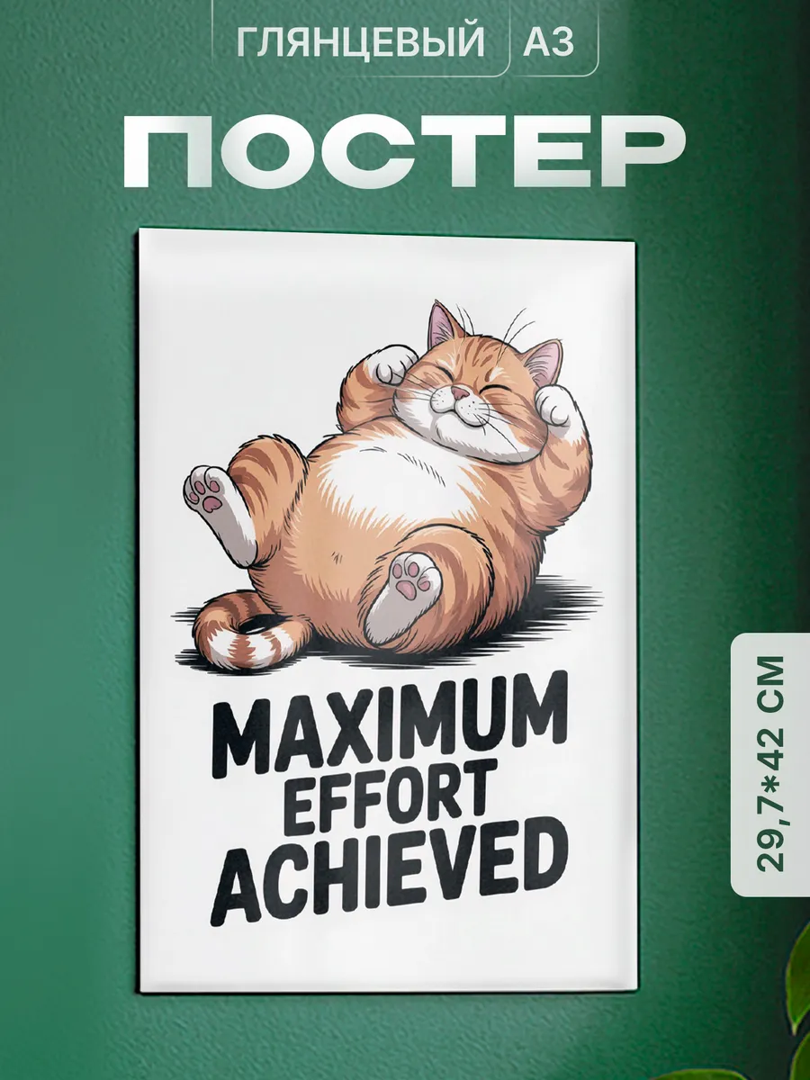 Изображение товара 1 из 4