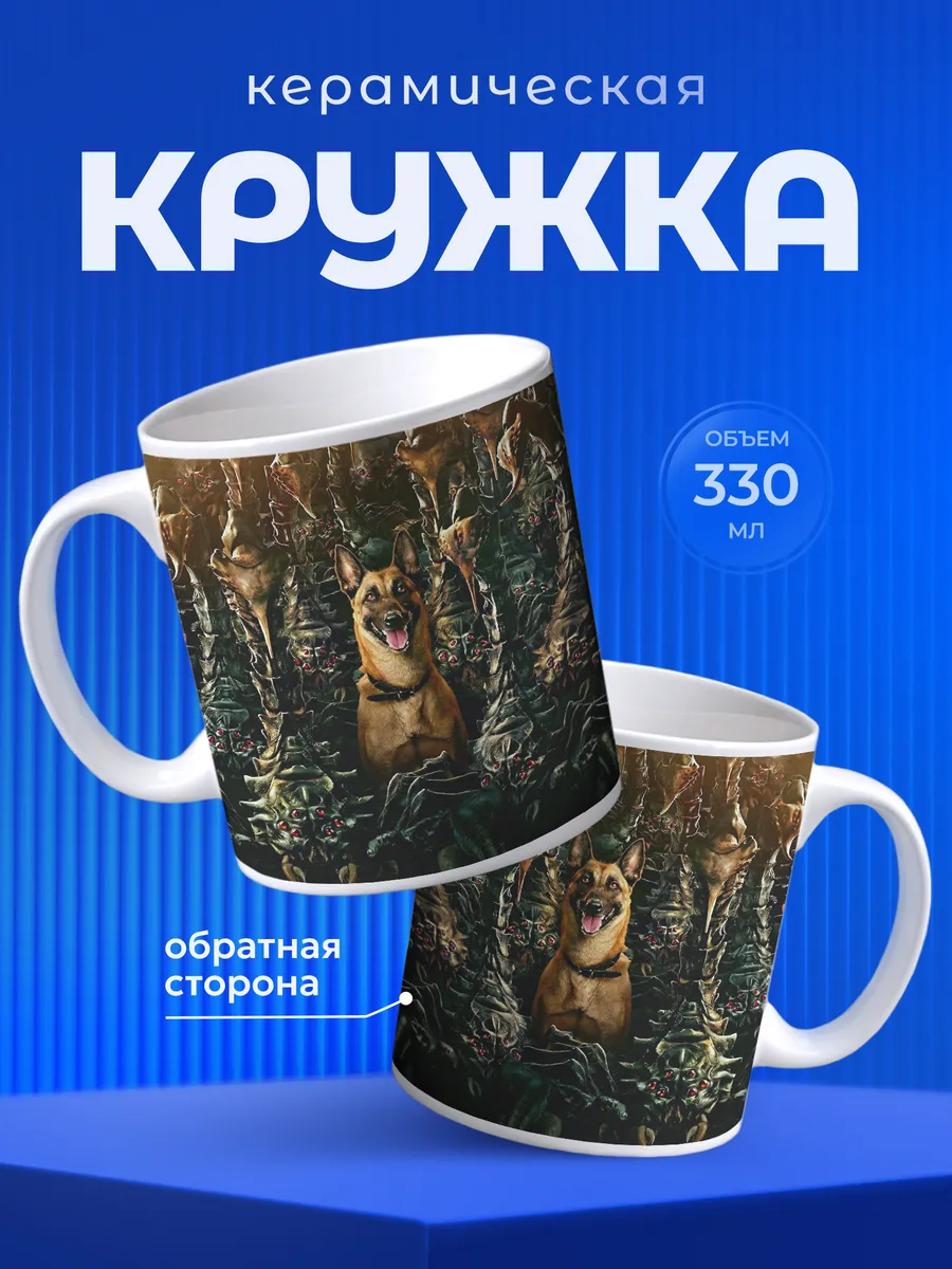 Изображение товара 1 из 6