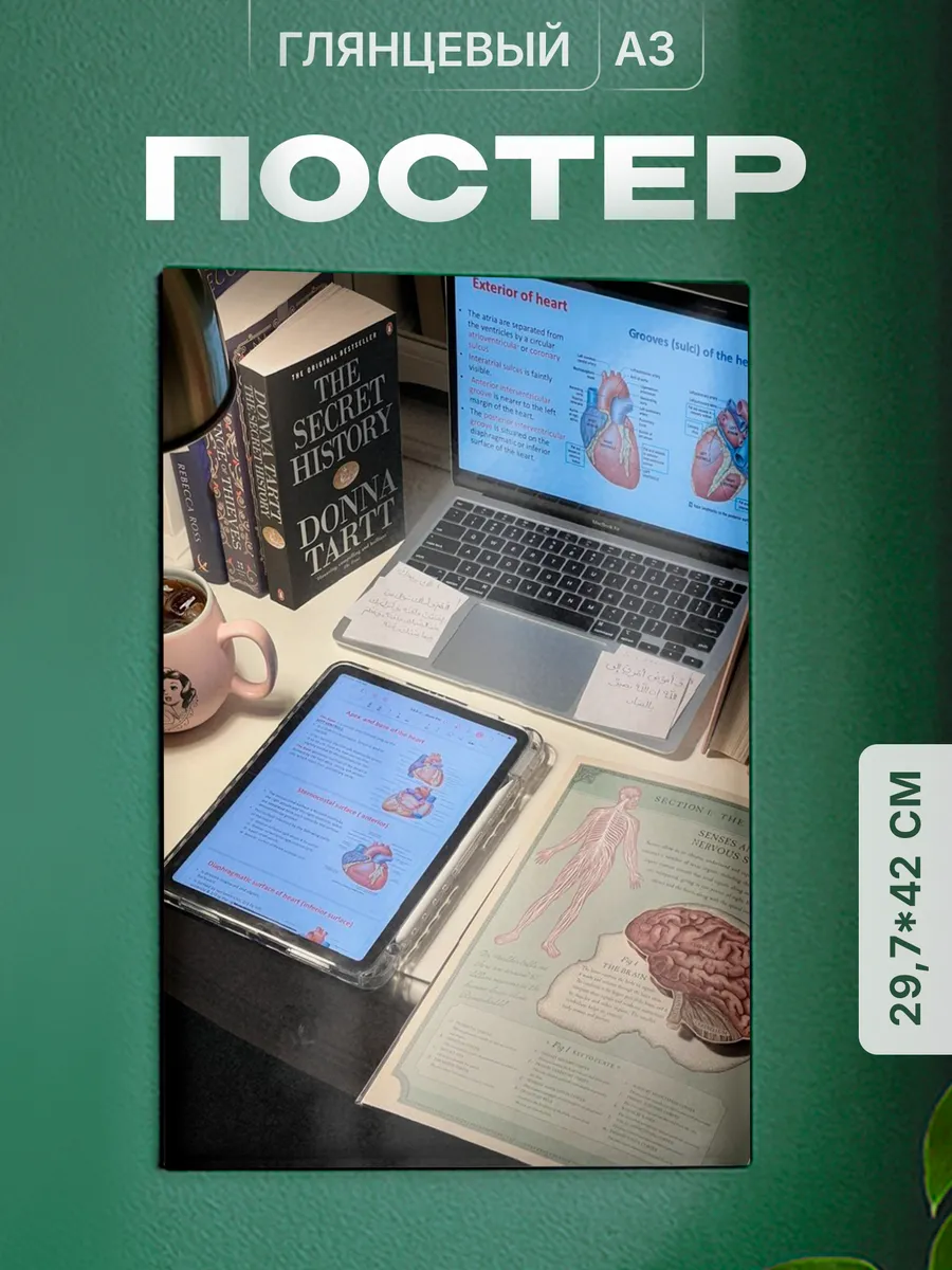 Постер День студента Татьянин день