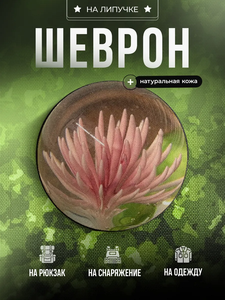 Шеврон Цветы