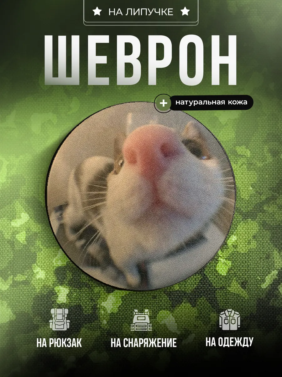 Шеврон Кот в объективе