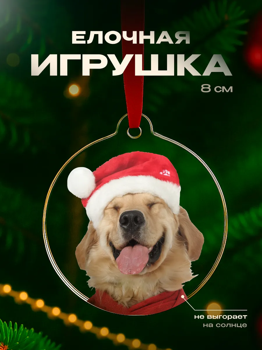 Подарок на новый год мужчине Собака