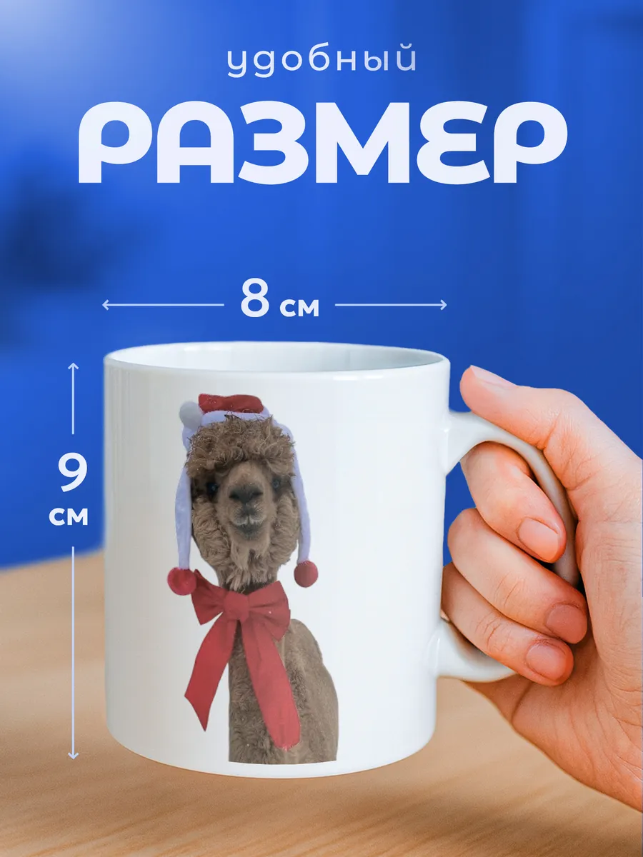 Изображение товара 2 из 6