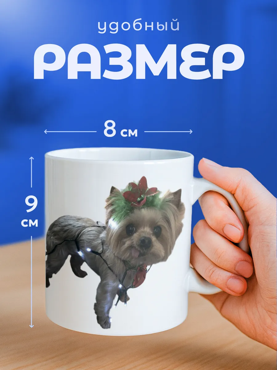 Изображение товара 2 из 6