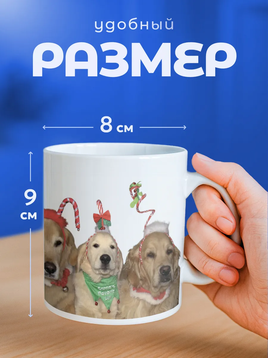 Изображение товара 2 из 6