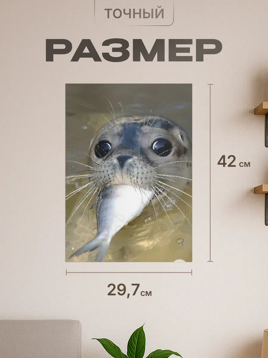 Изображение товара 2 из 4