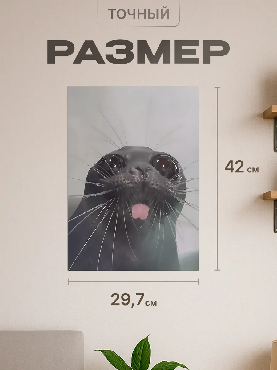 Изображение товара 2 из 4