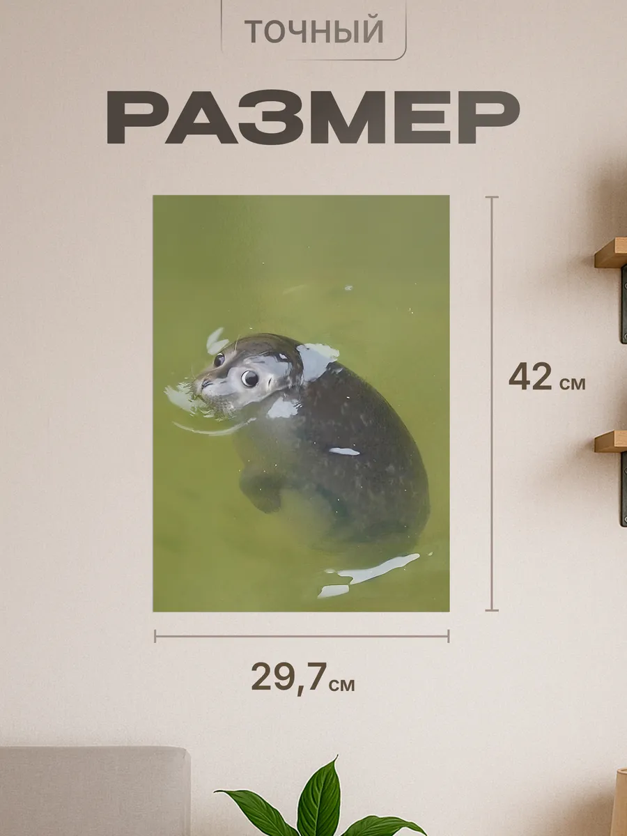 Изображение товара 2 из 4