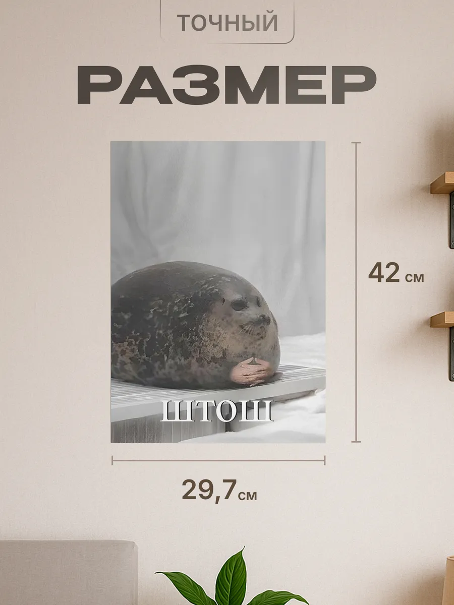 Изображение товара 2 из 4