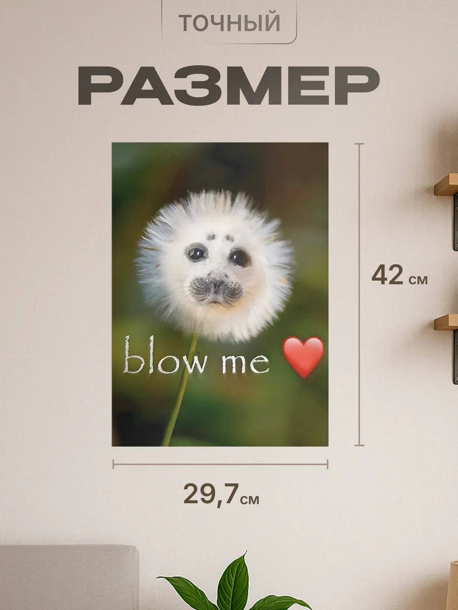 Изображение товара 2 из 4