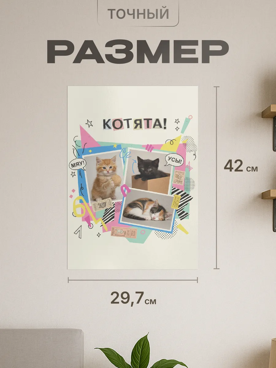 Изображение товара 2 из 4