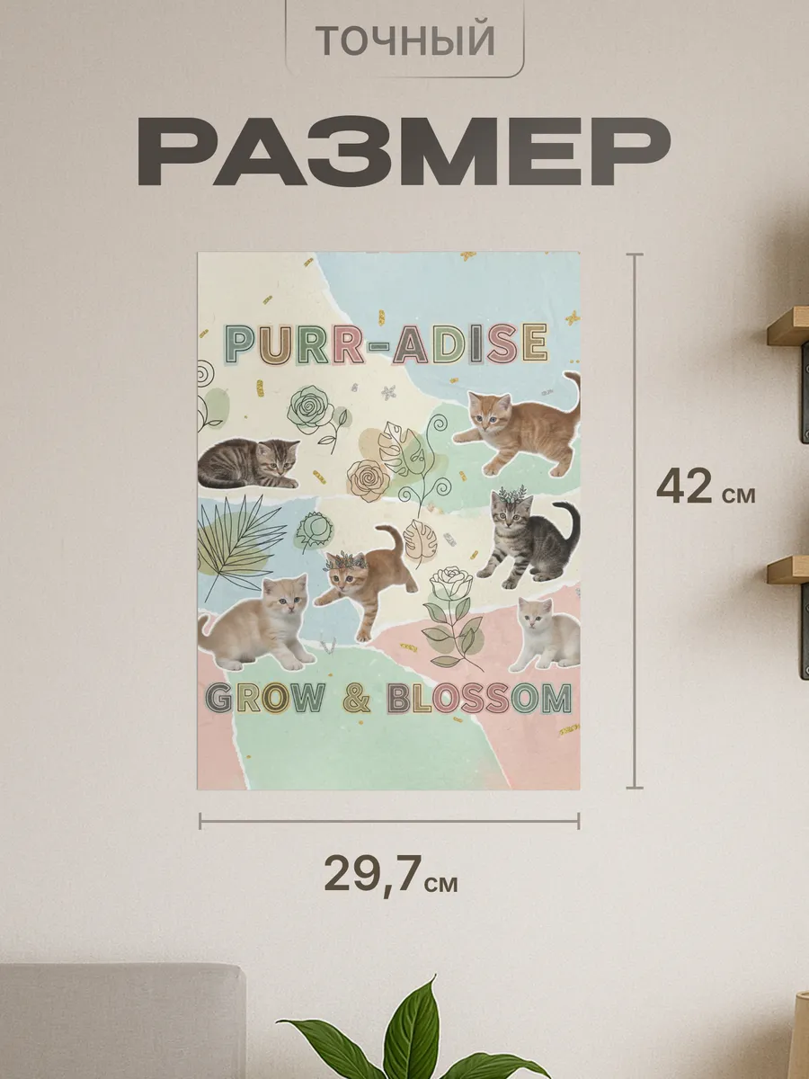 Изображение товара 2 из 4