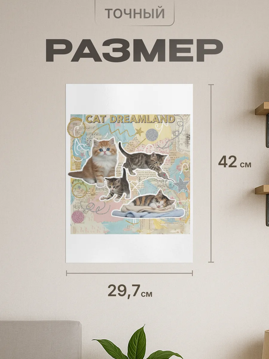 Изображение товара 2 из 4