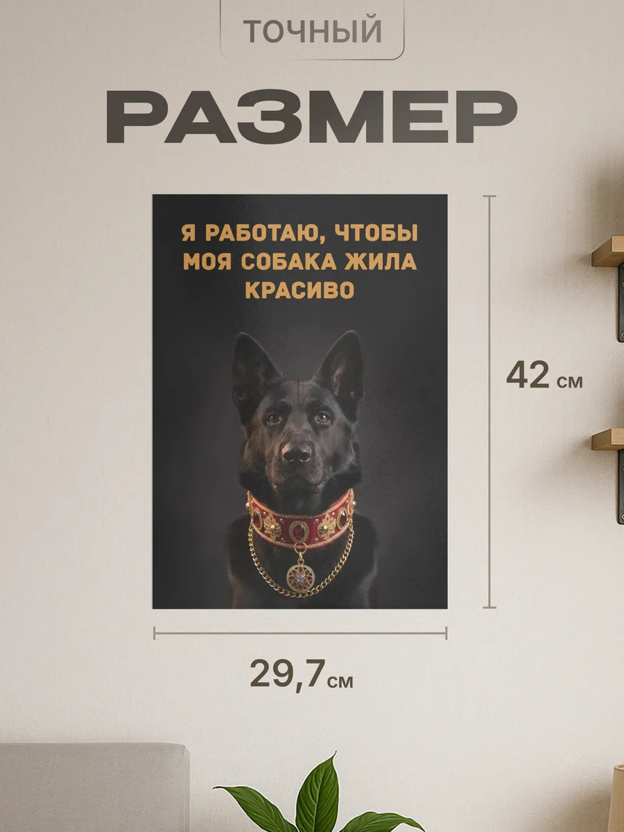 Изображение товара 2 из 4