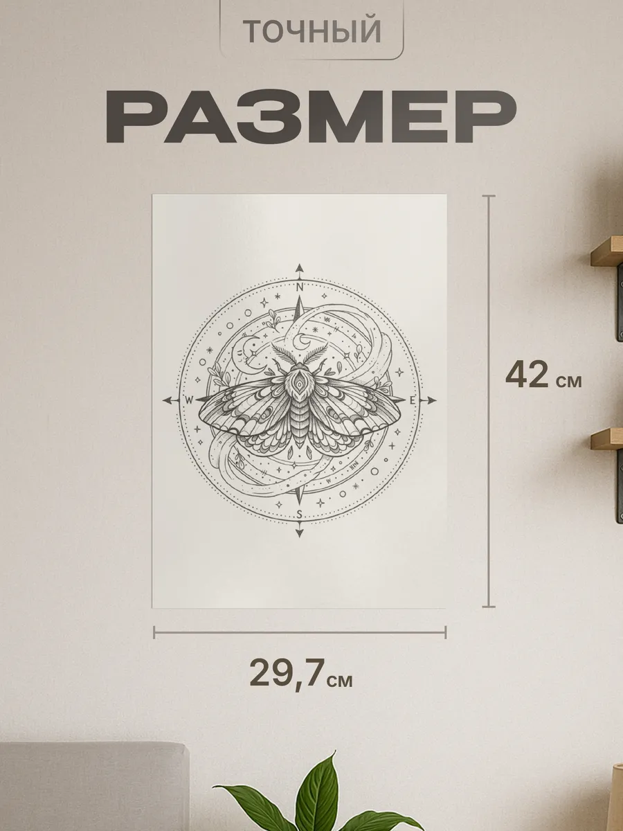 Изображение товара 2 из 4