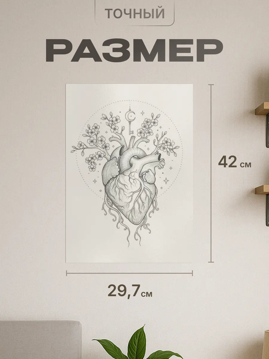 Изображение товара 2 из 4