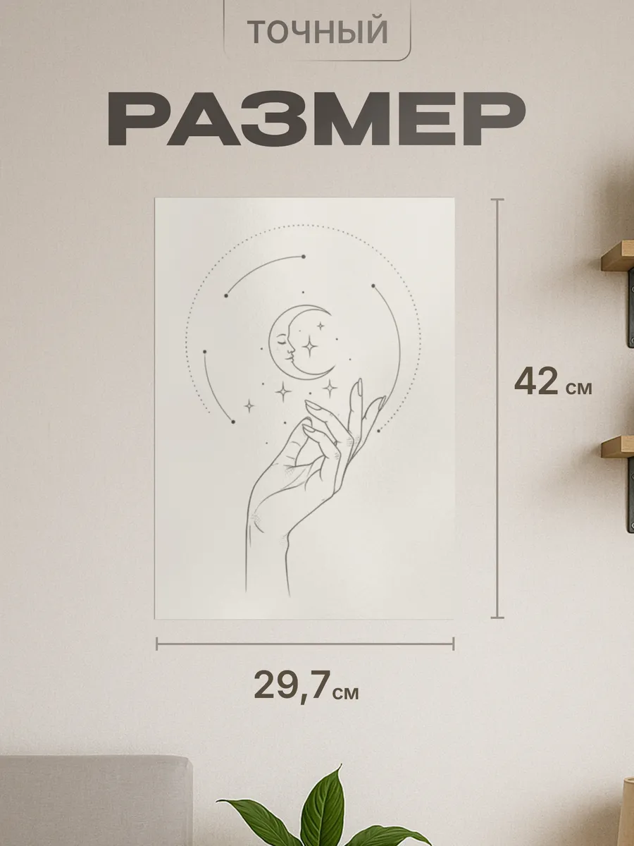 Изображение товара 2 из 4