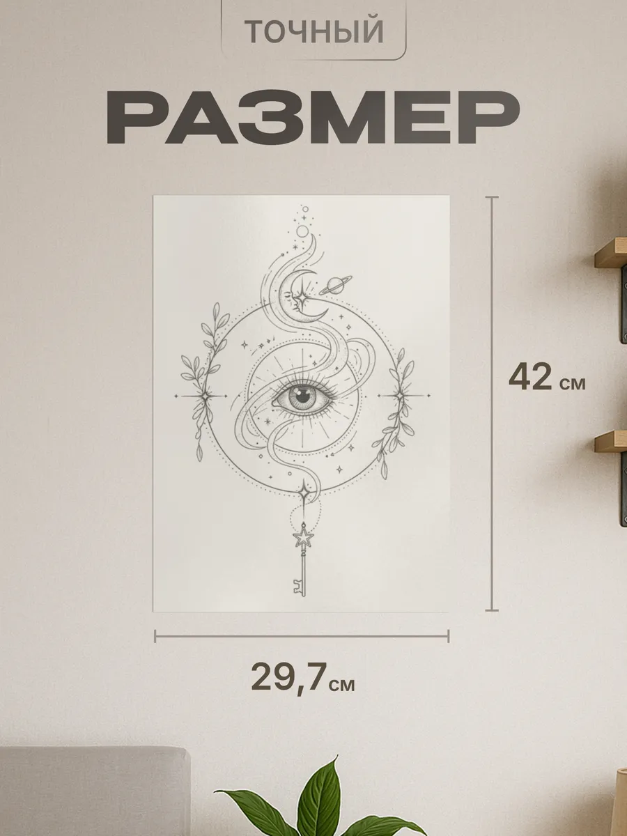 Изображение товара 2 из 4