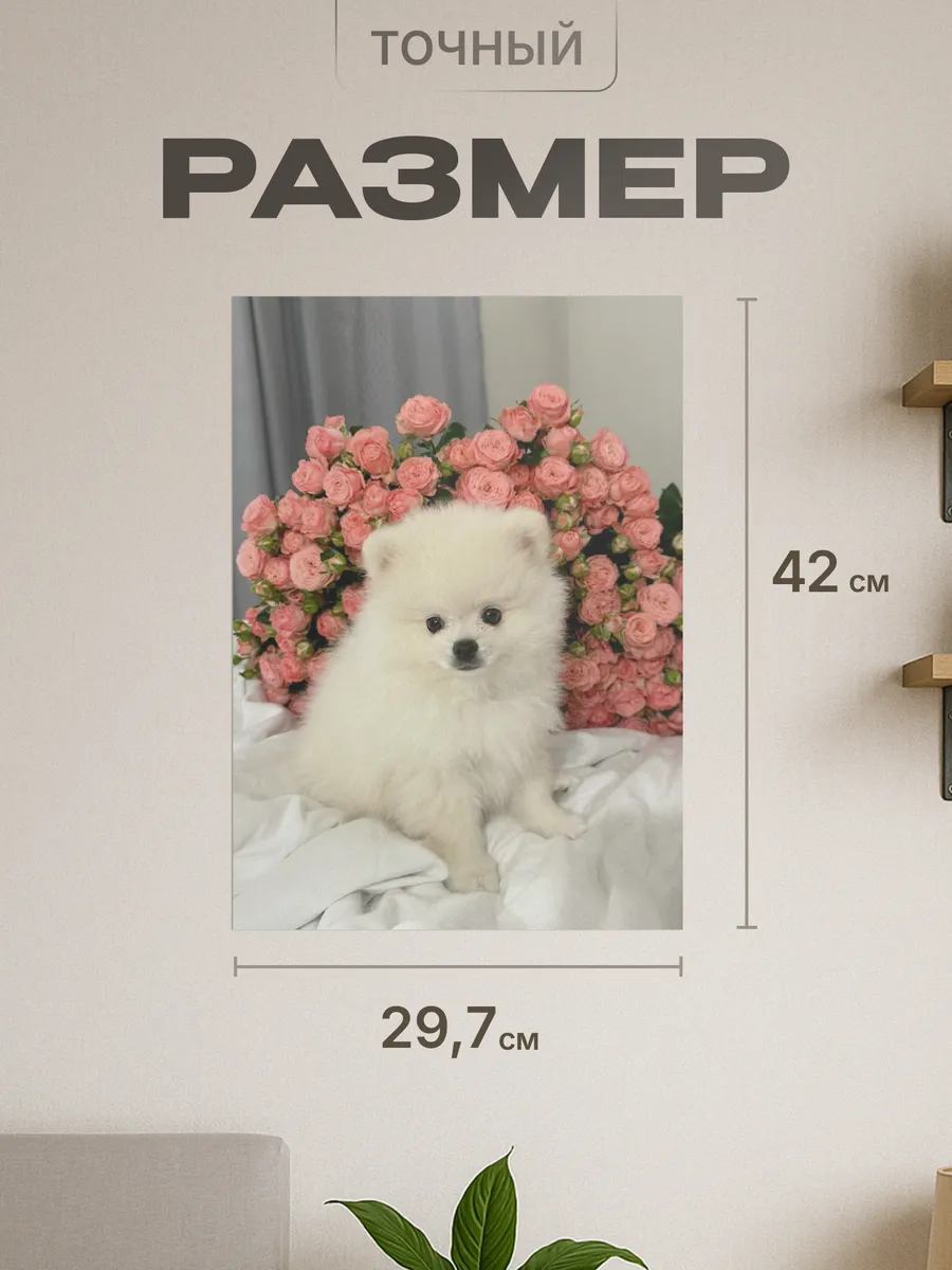 Изображение товара 2 из 4