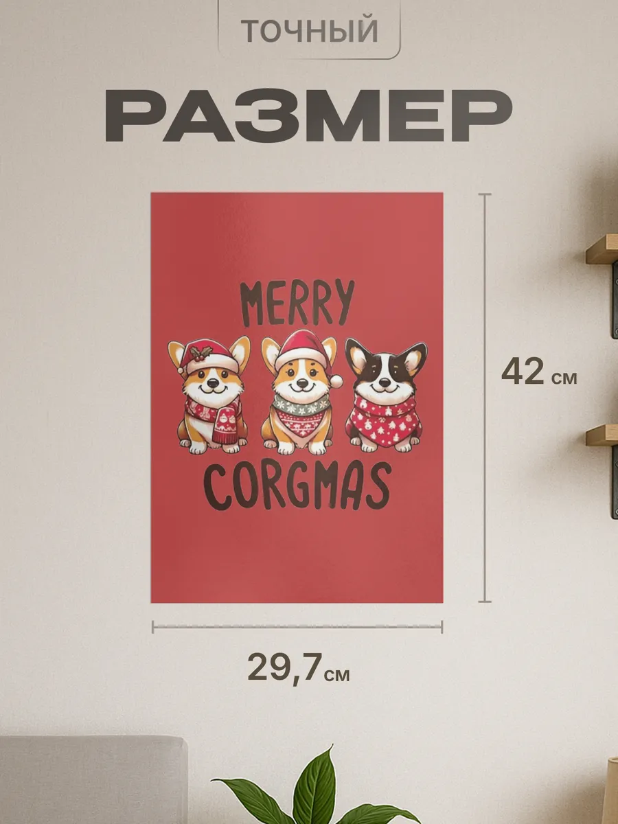 Изображение товара 2 из 4