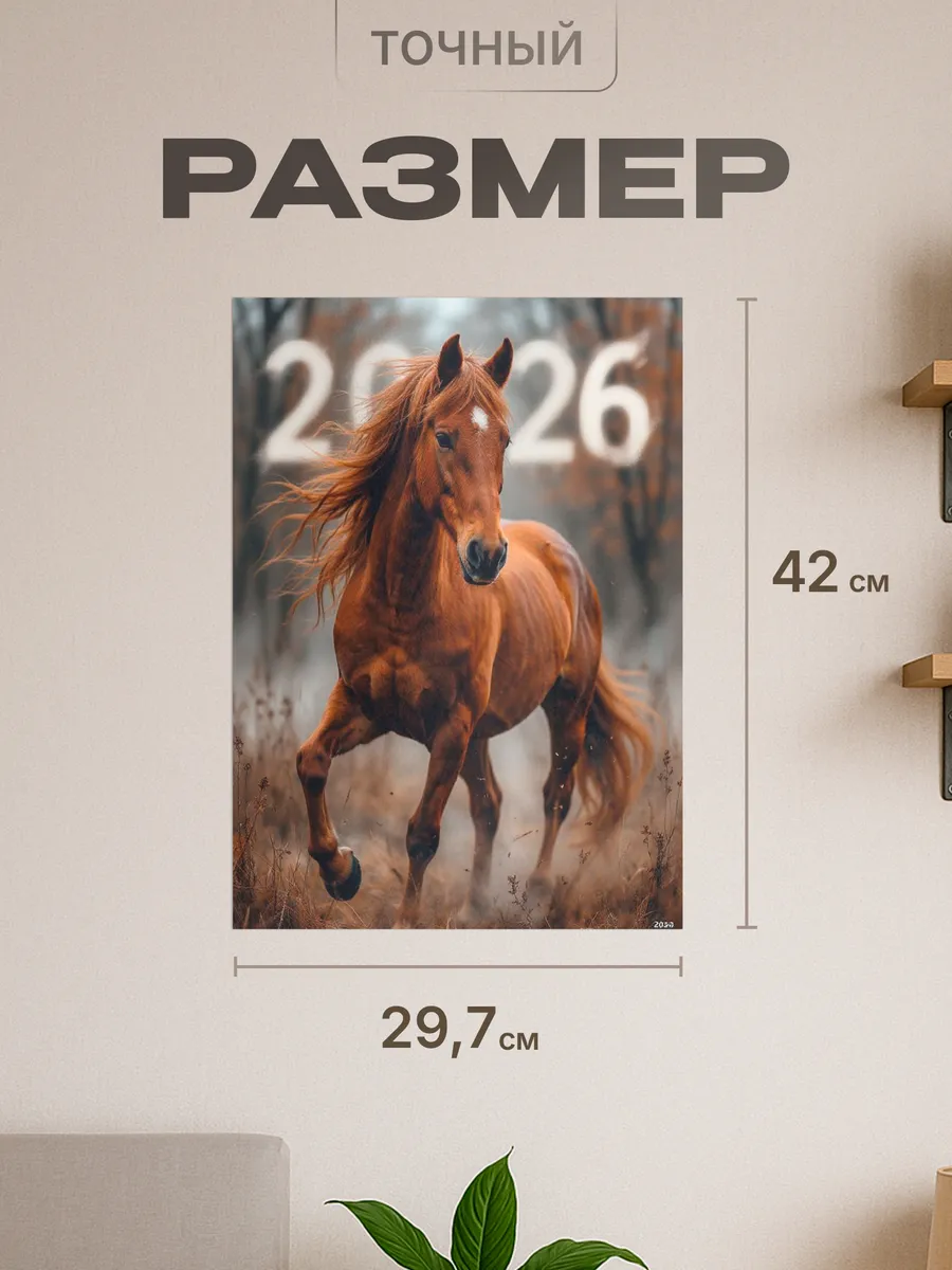 Изображение товара 2 из 4