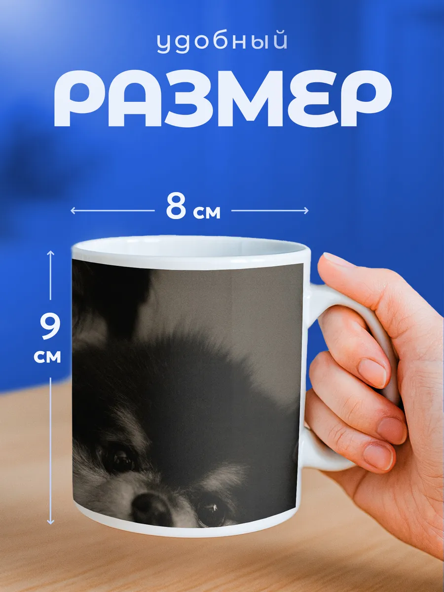 Изображение товара 2 из 6