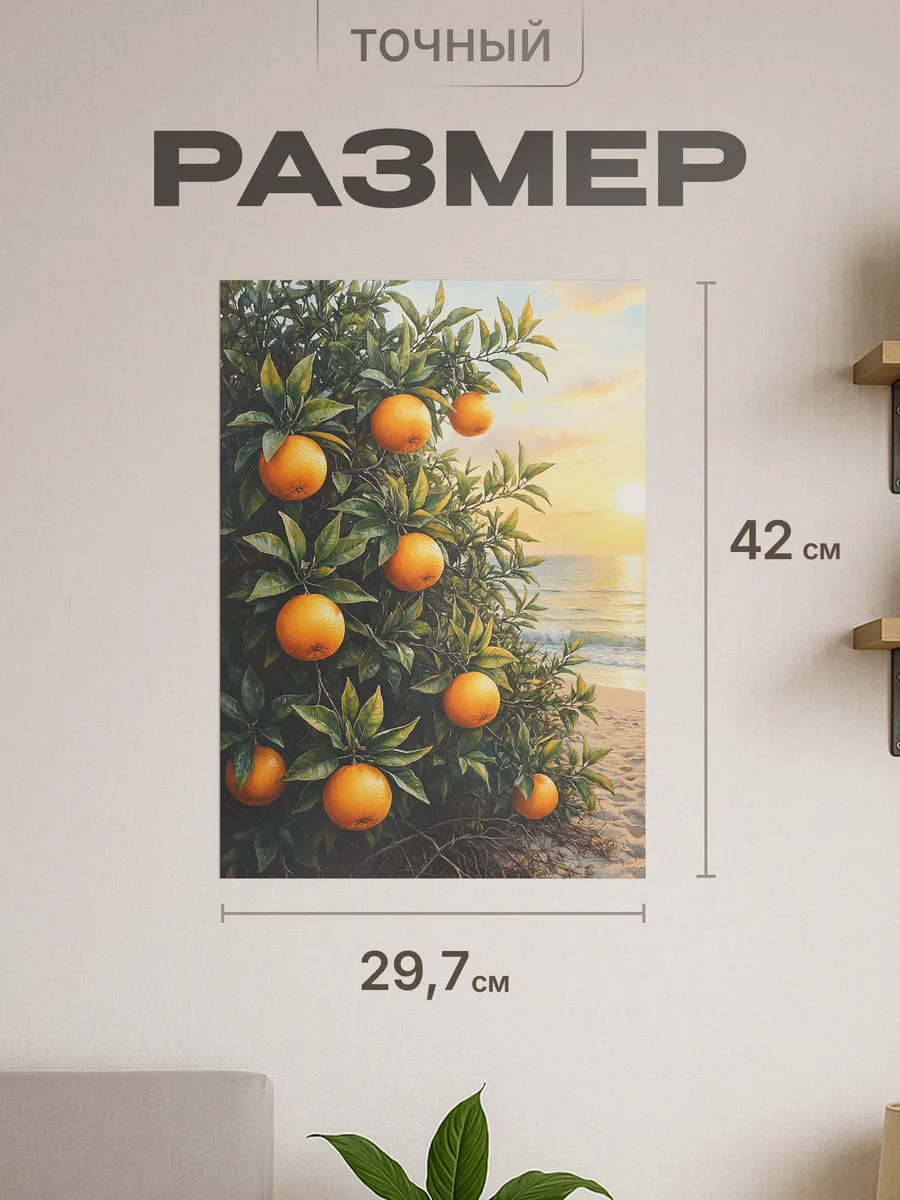 Изображение товара 2 из 4