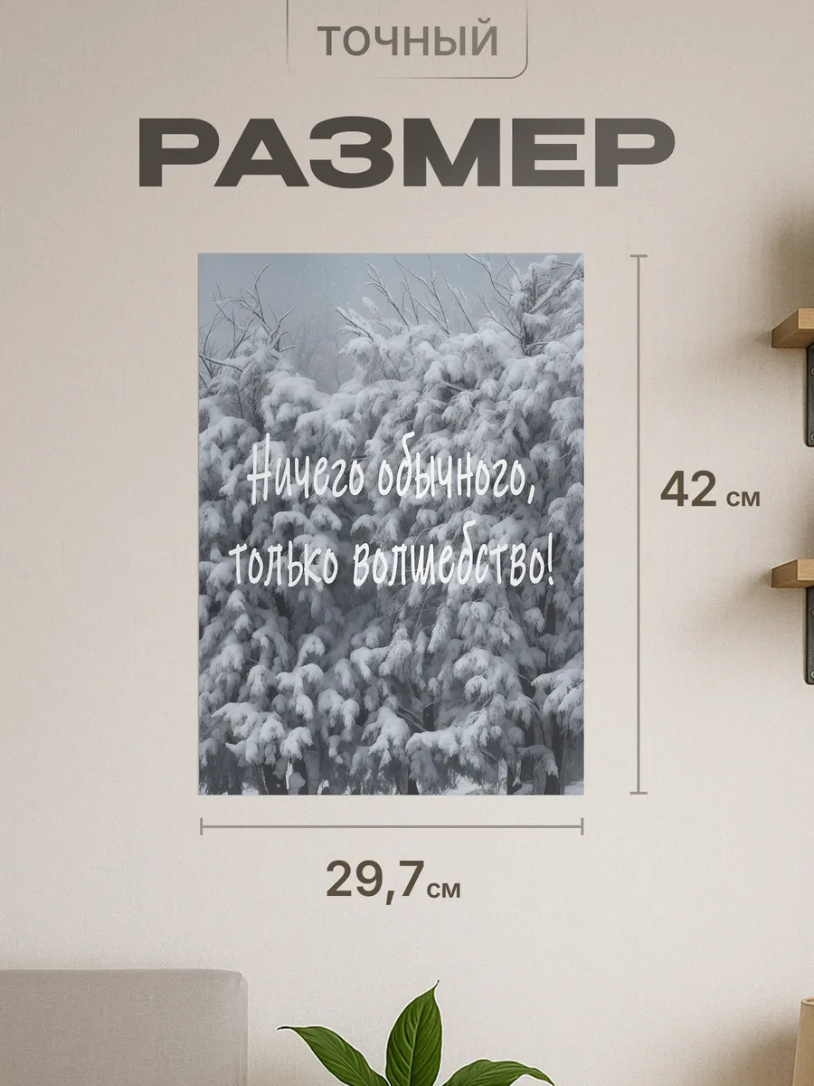 Изображение товара 2 из 4